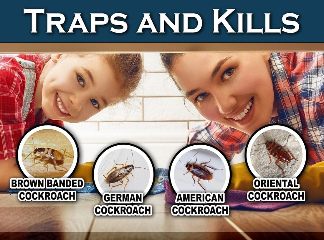 Cockroach Catcher Sticky Glue Traps – Strong Adhesive (Pack of 10)