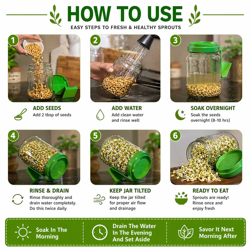 HomelyPicks SproutEasy Buy 1 Get 1 Free